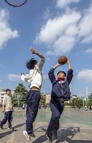 多赛